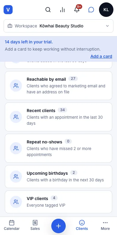 Self-updating client segments (new, lapsed, birthdays and so on) — Result — VIP clients, 4 — Phone